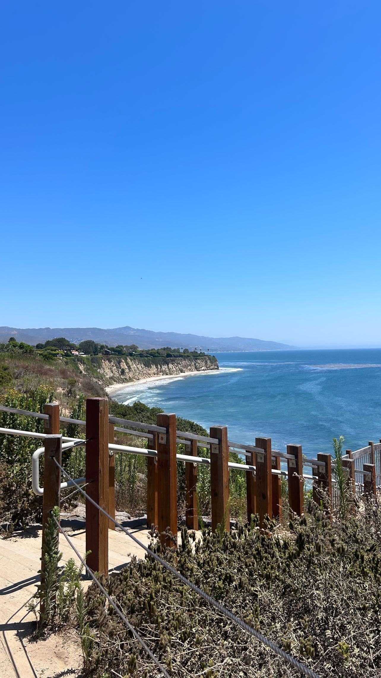 zommmbri instagram image archive image