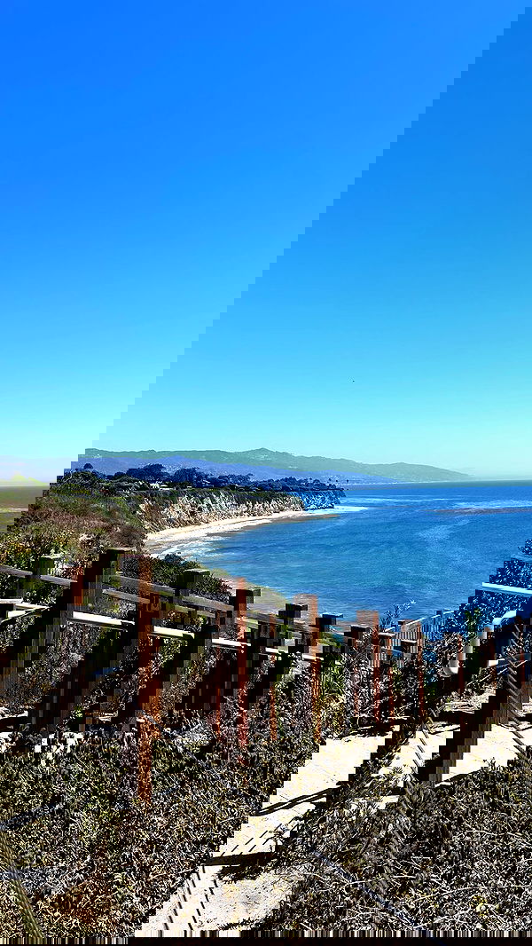 zommmbri image ~ Altpins