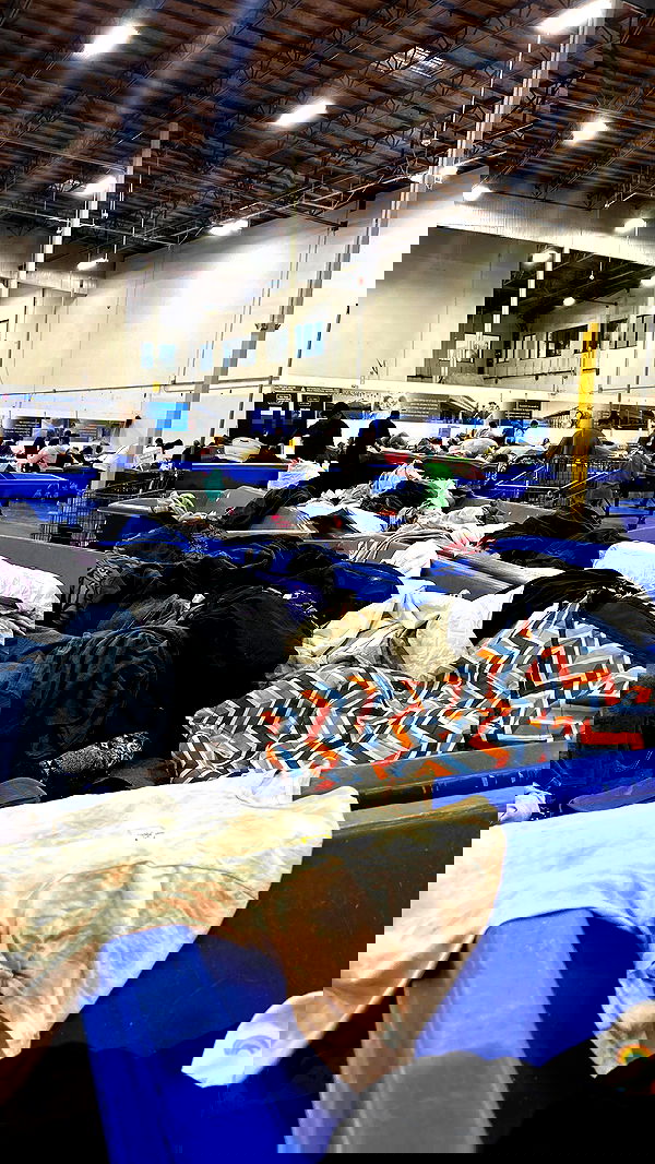 zommmbri image ~ Altpins