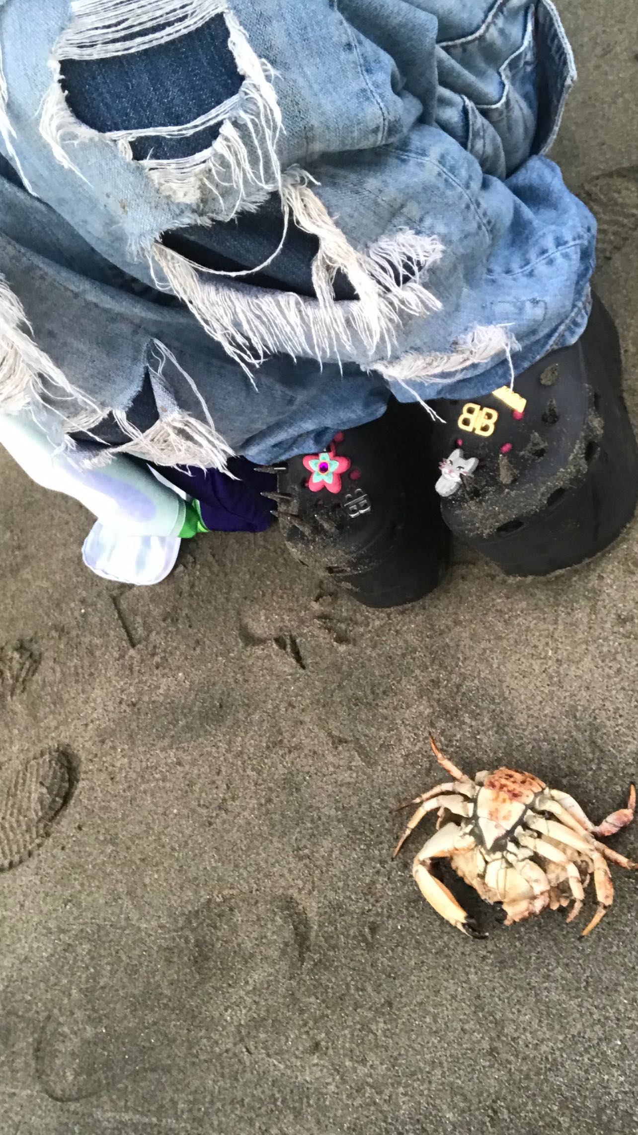 zommmbri instagram image archive image