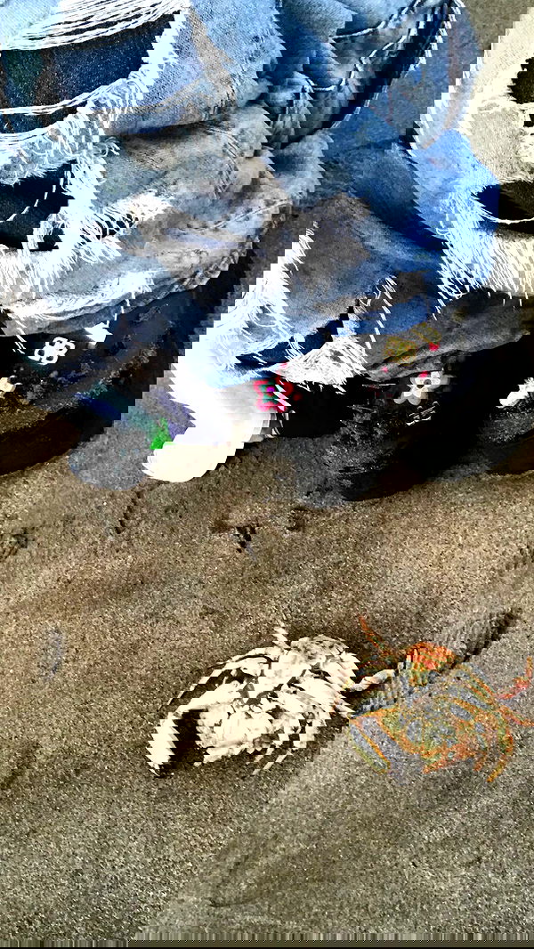 zommmbri image ~ Altpins