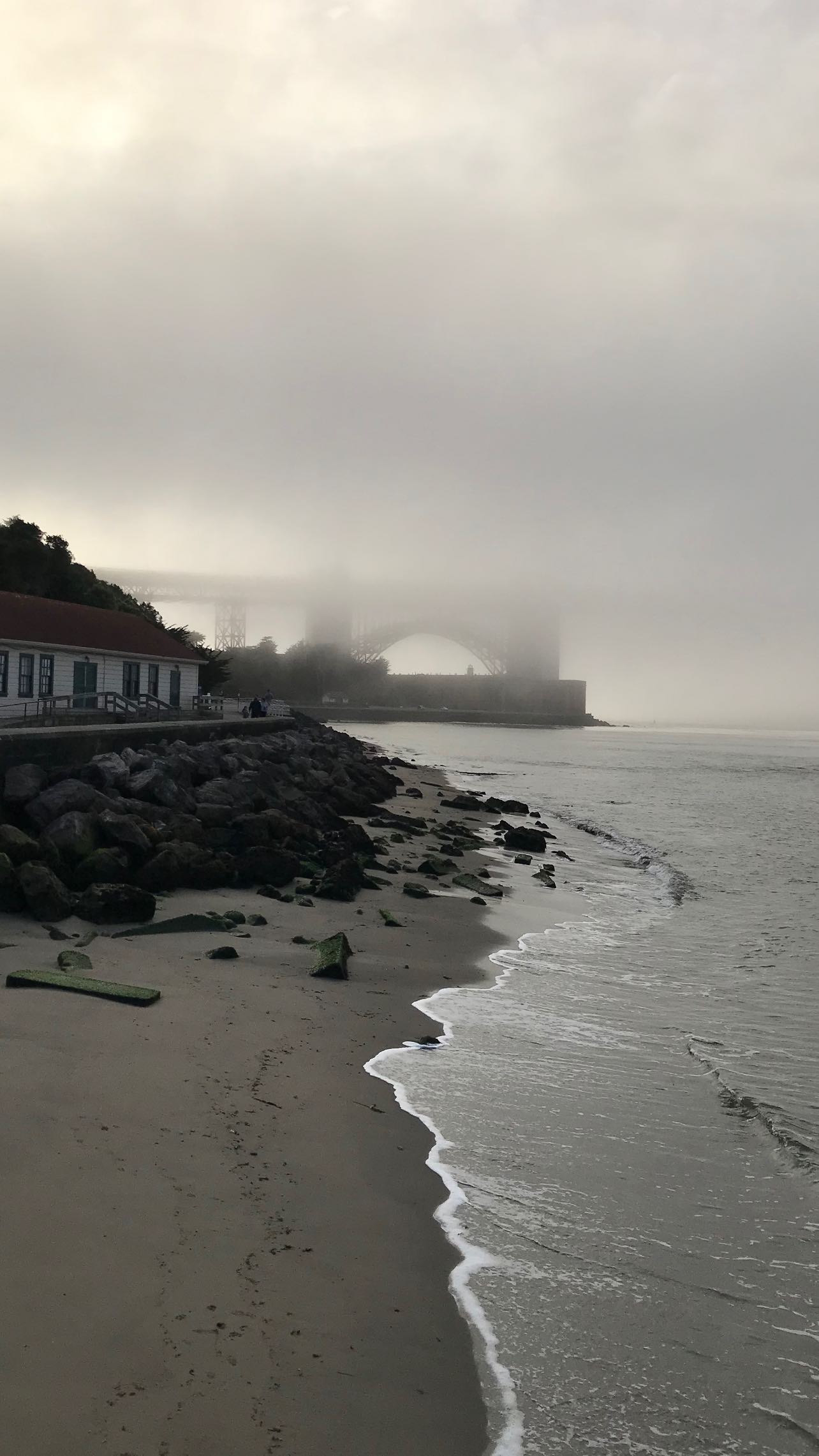 zommmbri instagram image archive image