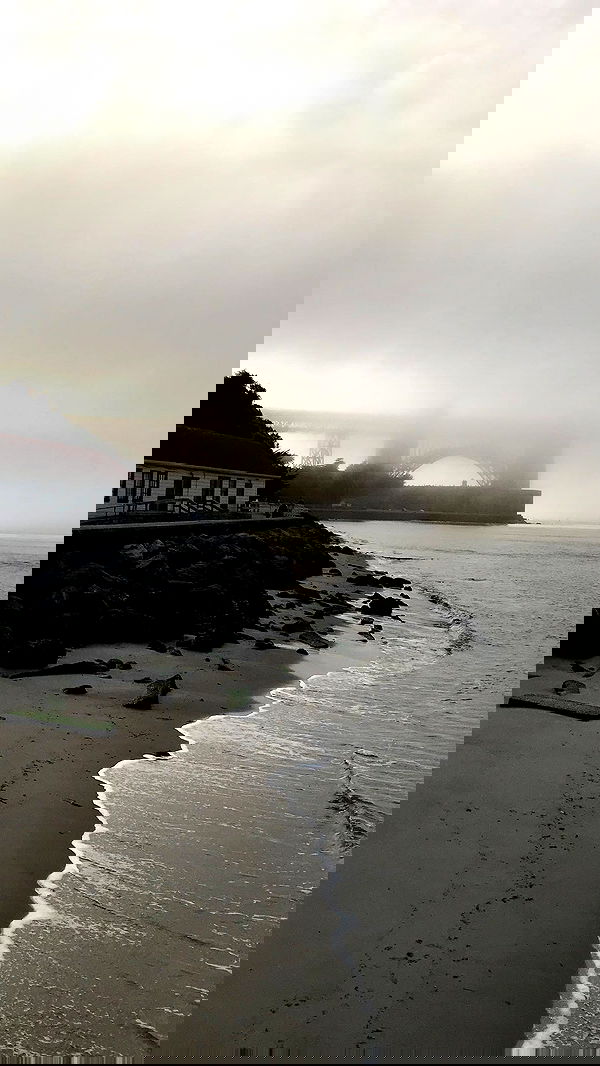 zommmbri image ~ Altpins