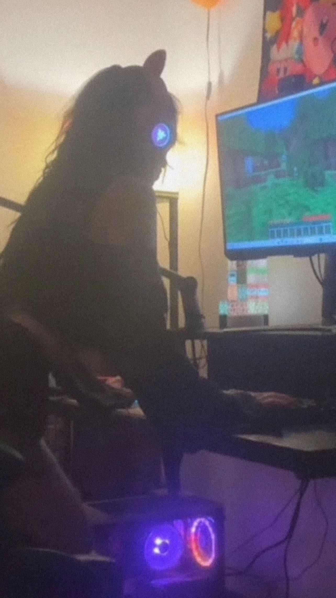 zommmbri instagram image archive image