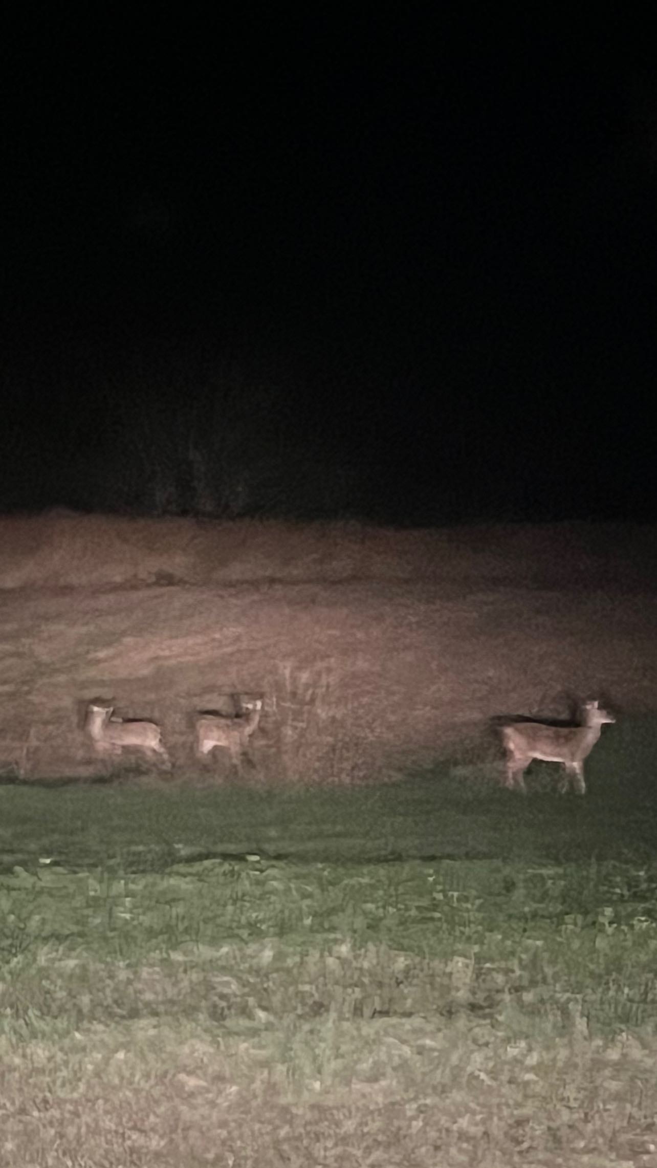 zommmbri instagram image archive image