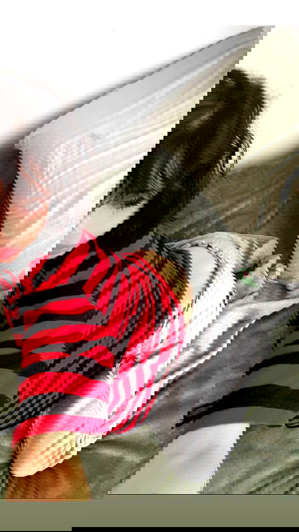 zommmbri image ~ Altpins