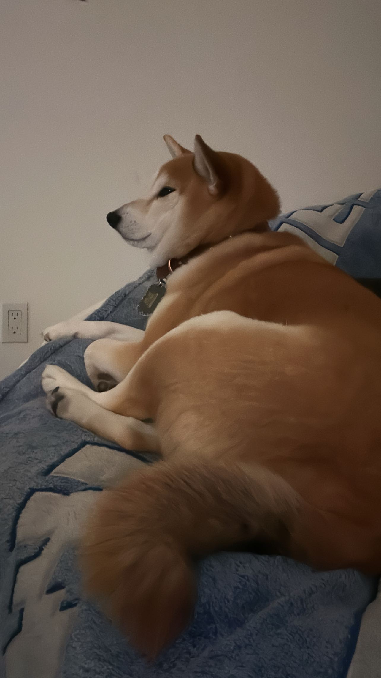 zommmbri instagram image archive image