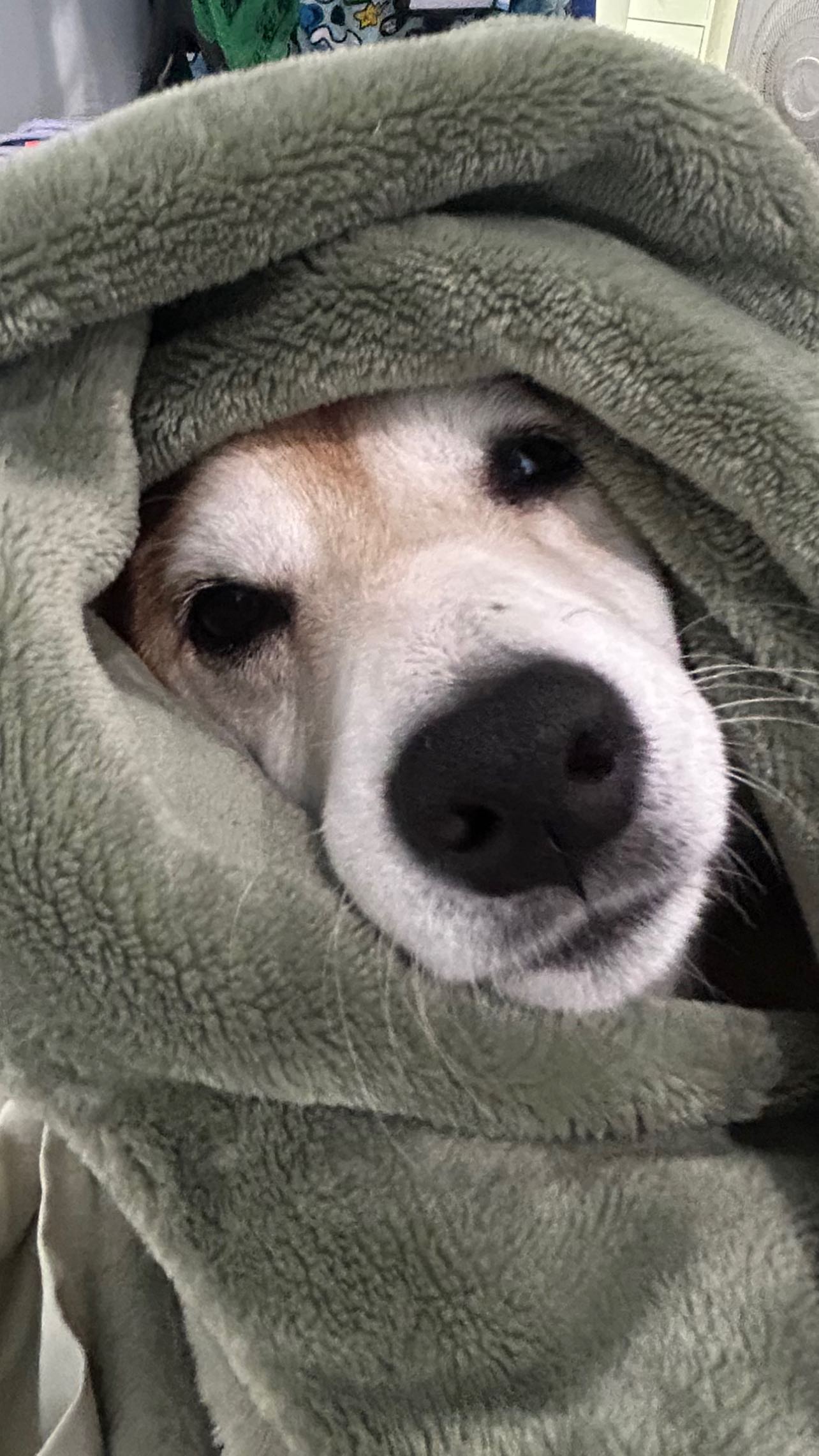 zommmbri instagram image archive image