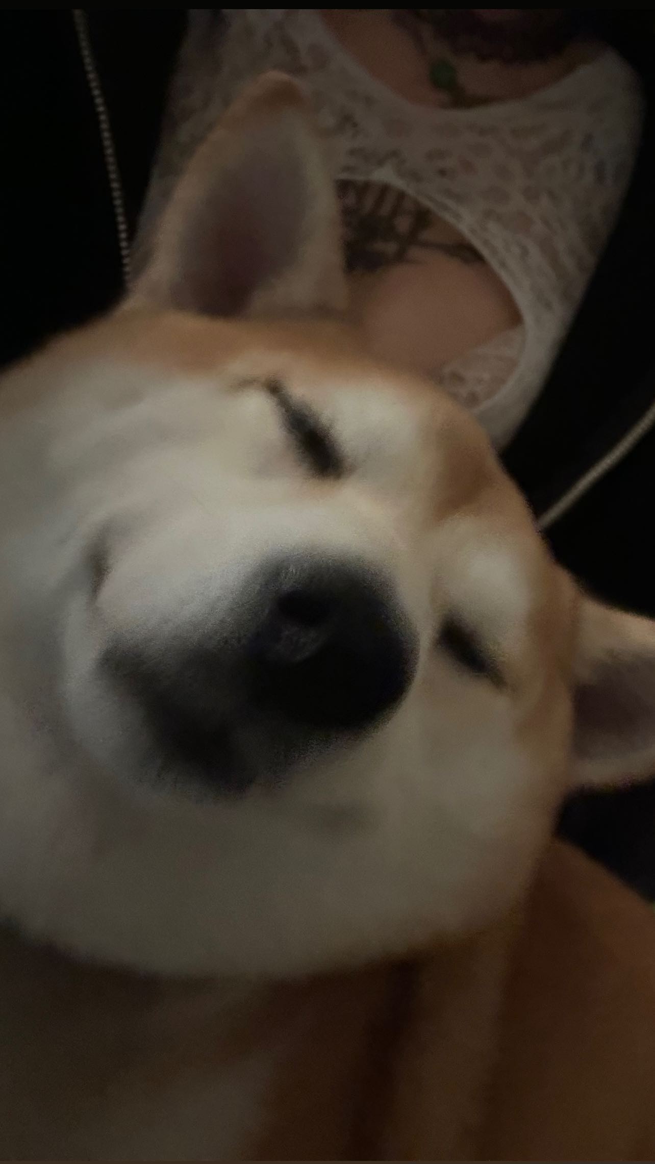 zommmbri instagram image archive image