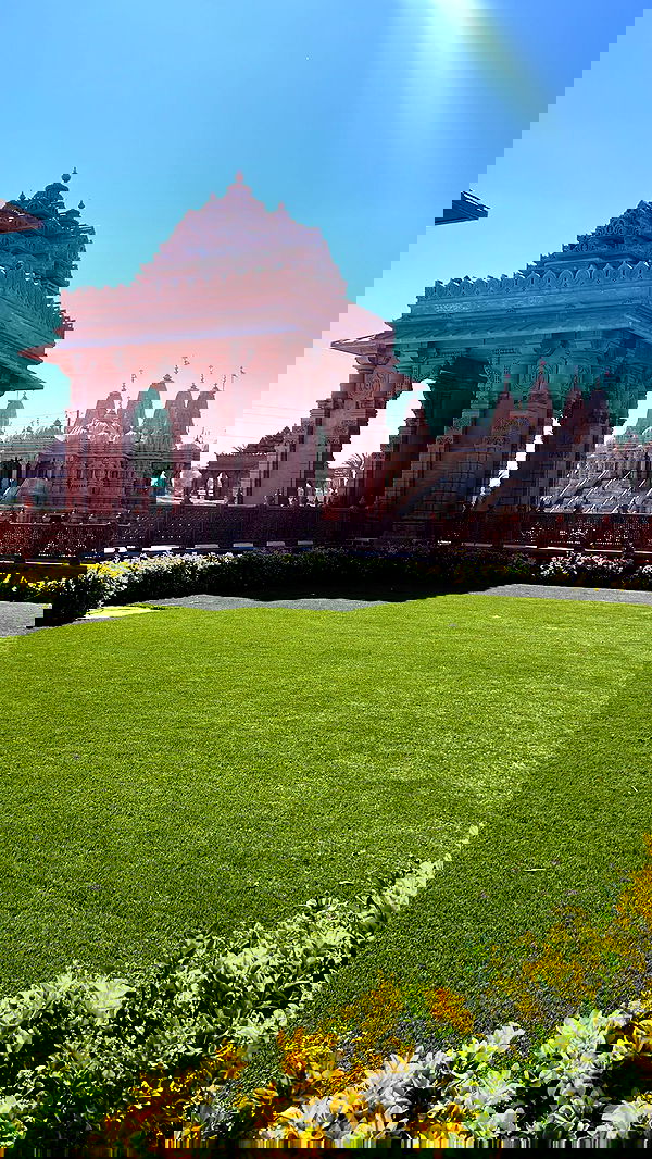 zommmbri image ~ Altpins