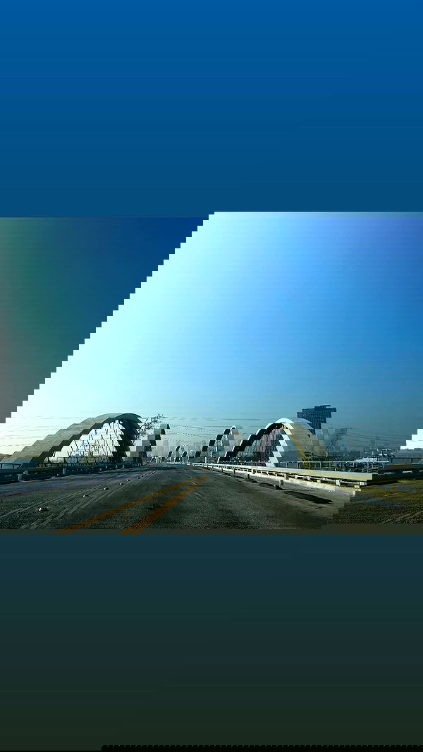 zommmbri image ~ Altpins