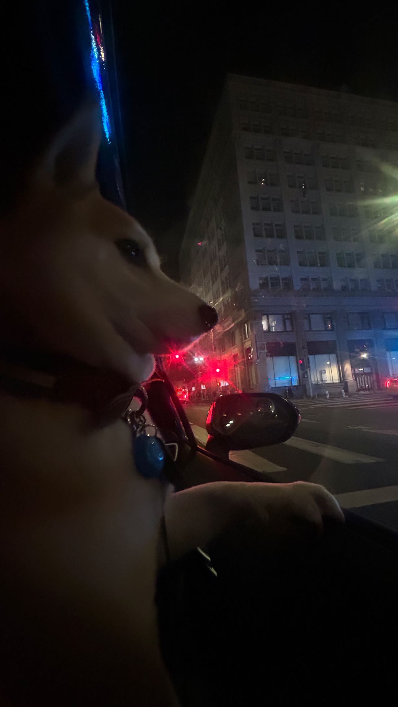 zommmbri instagram image archive image