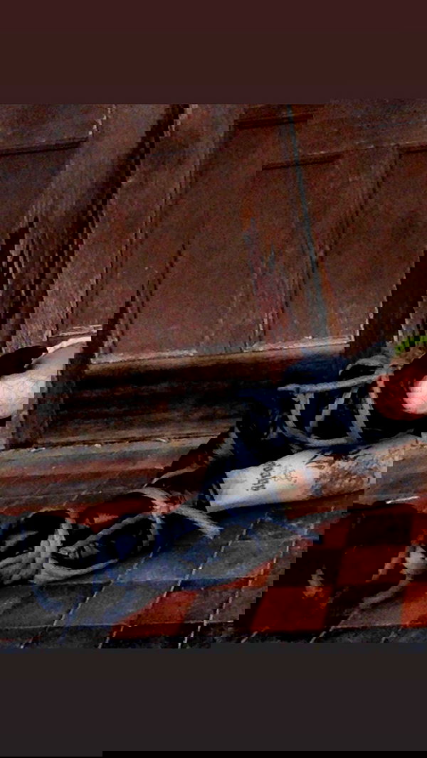 zommmbri image ~ Altpins