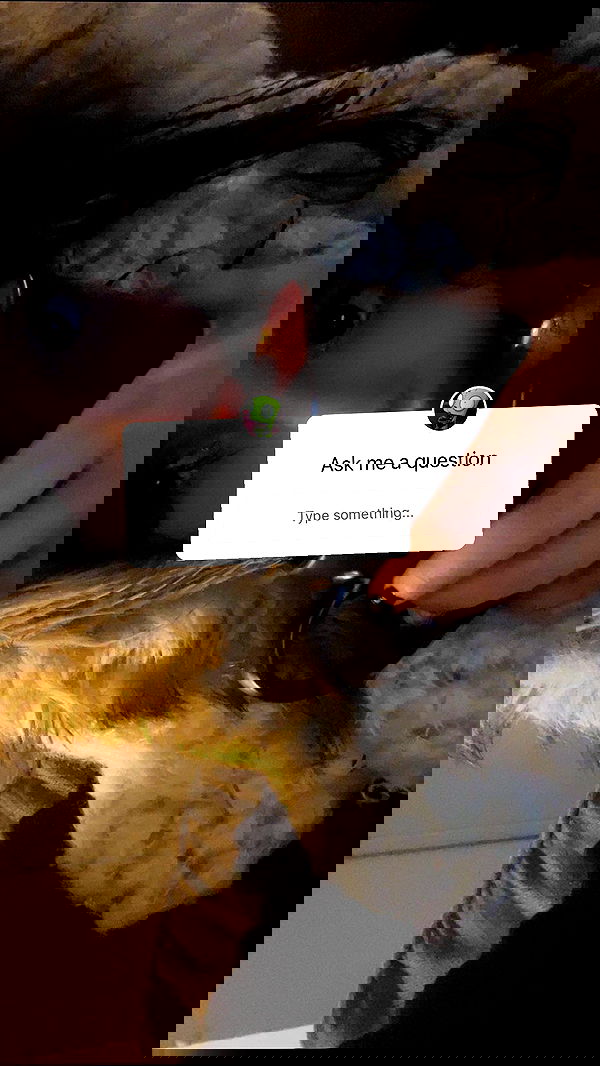 zommmbri image ~ Altpins