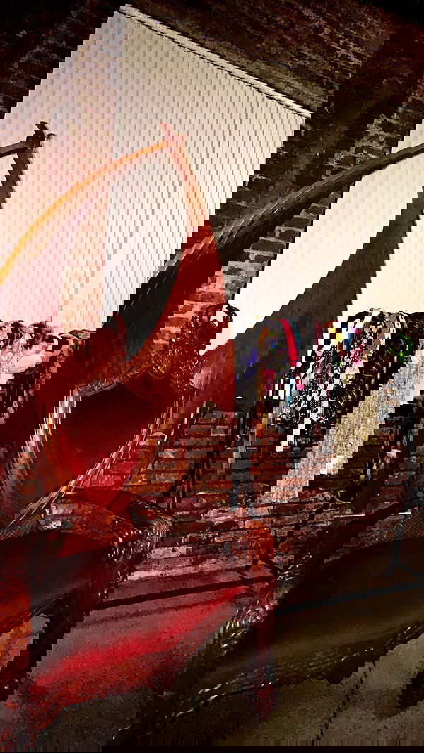 zommmbri image ~ Altpins