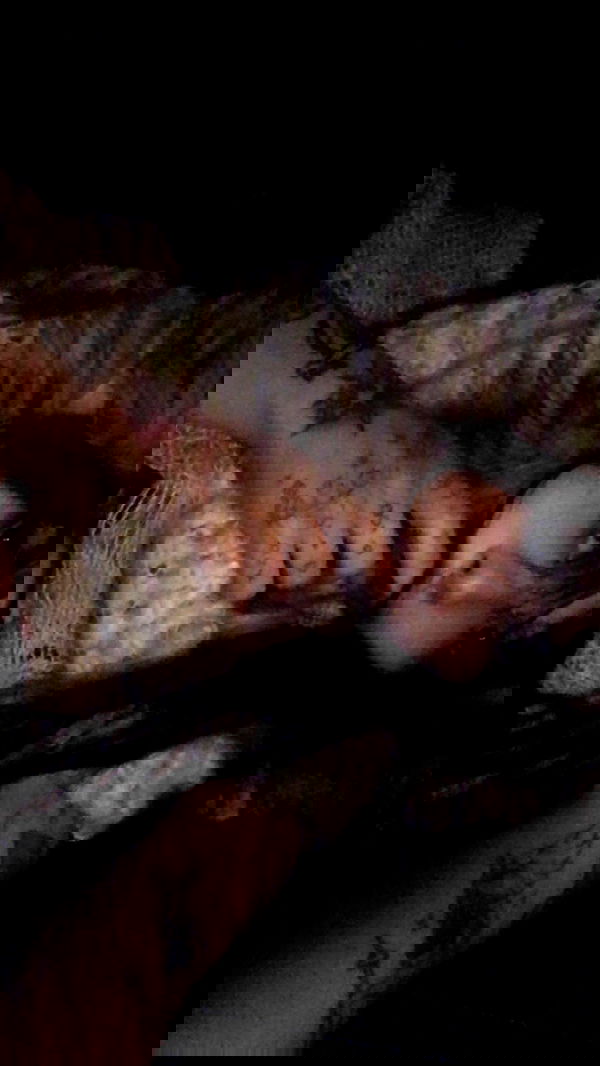 zommmbri image ~ Altpins