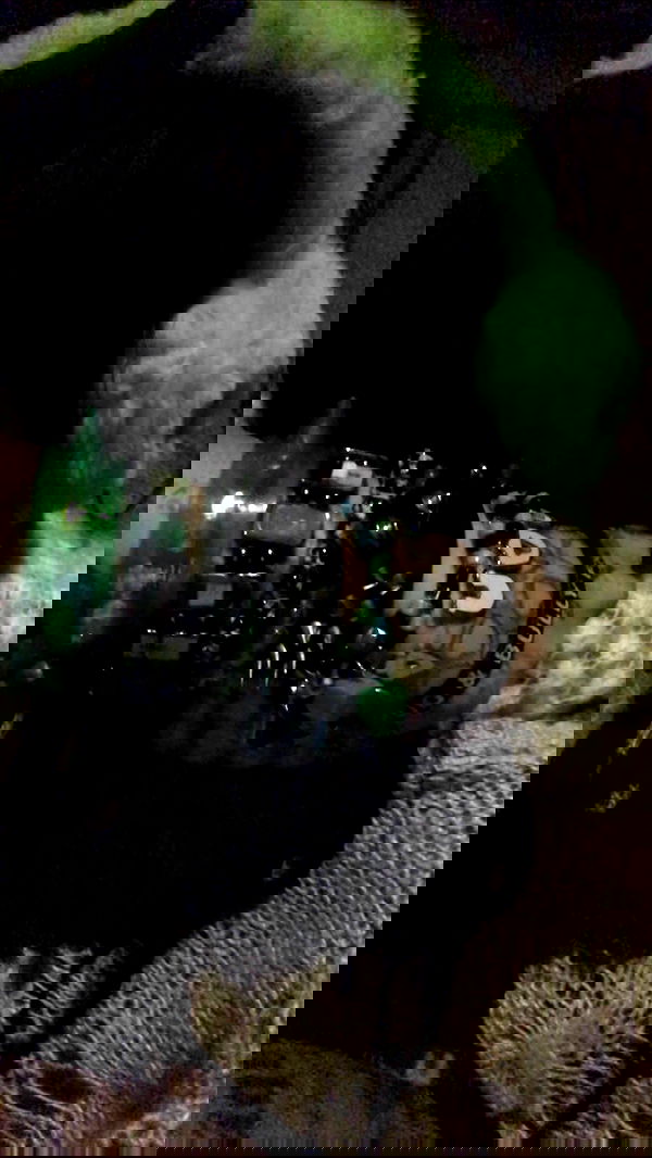 zommmbri image ~ Altpins