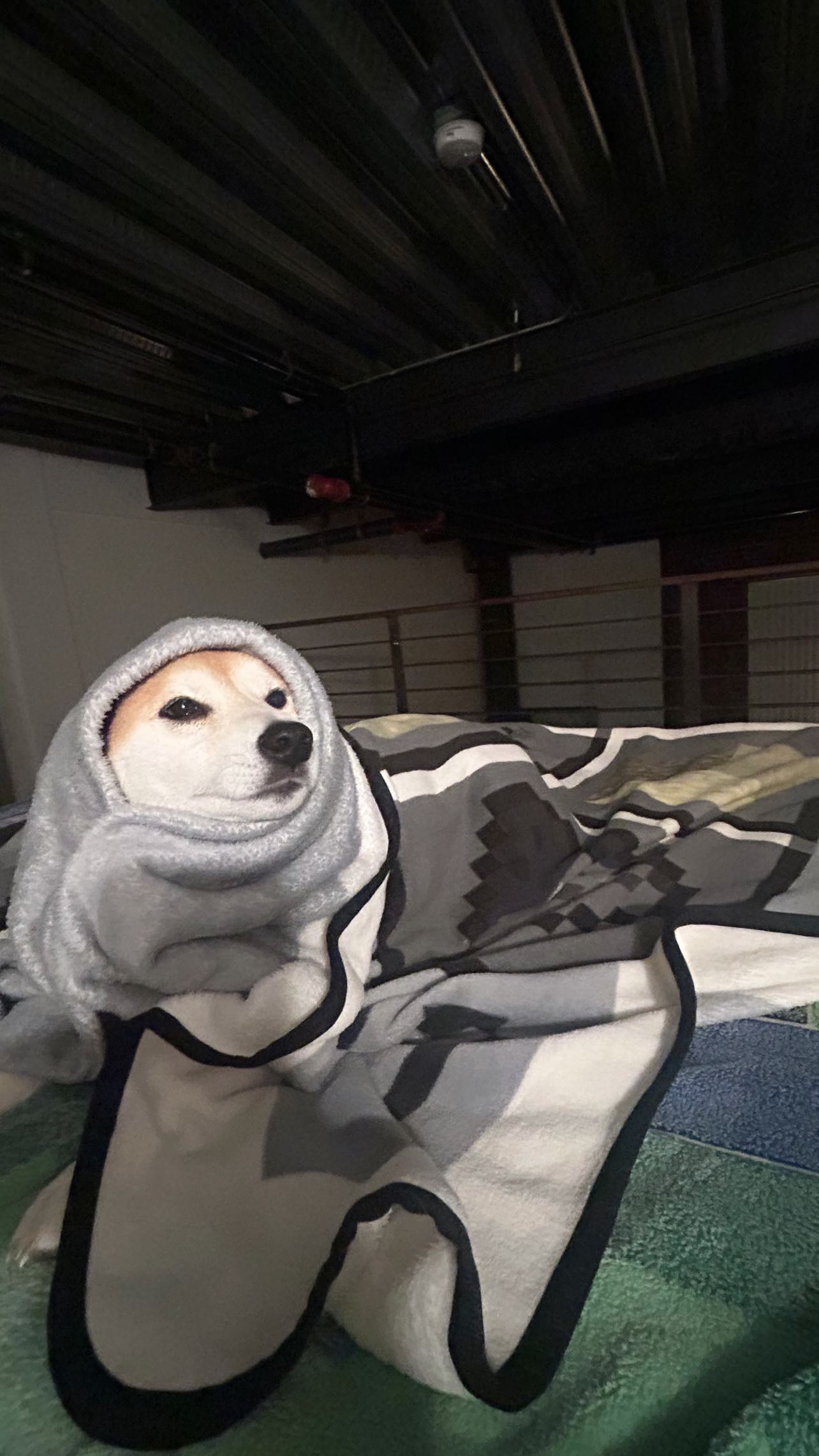 zommmbri instagram image archive image