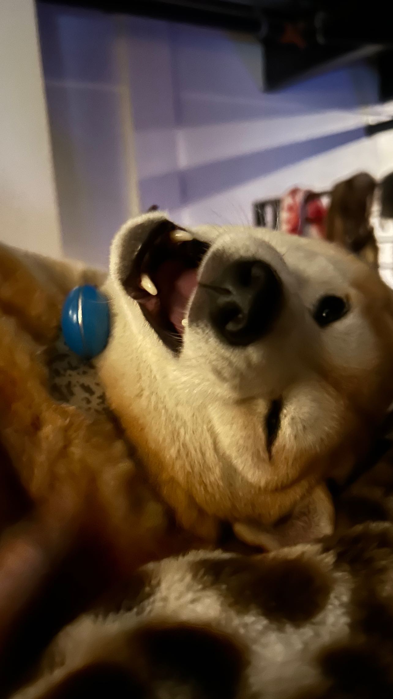 zommmbri instagram image archive image