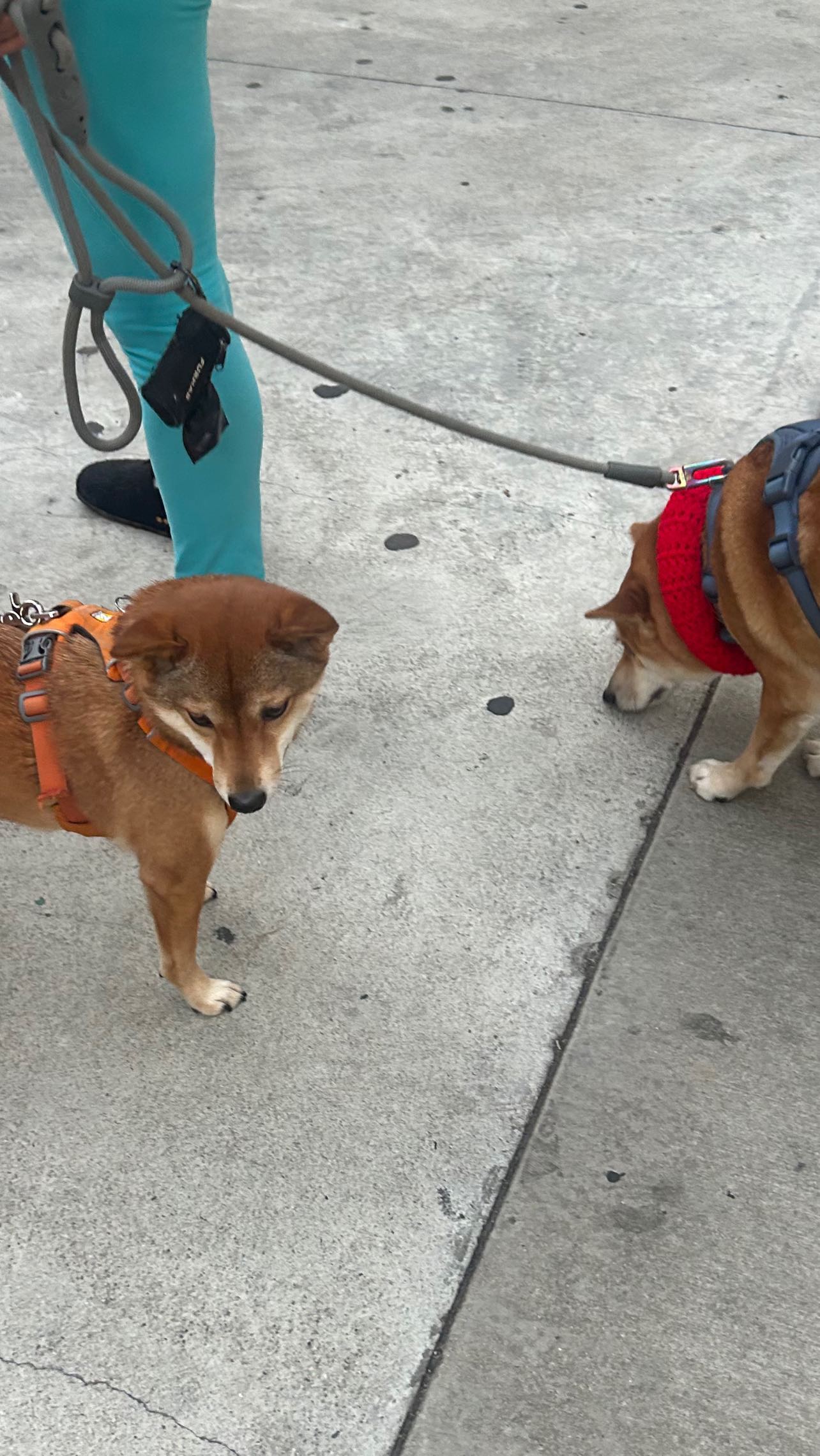 zommmbri instagram image archive image