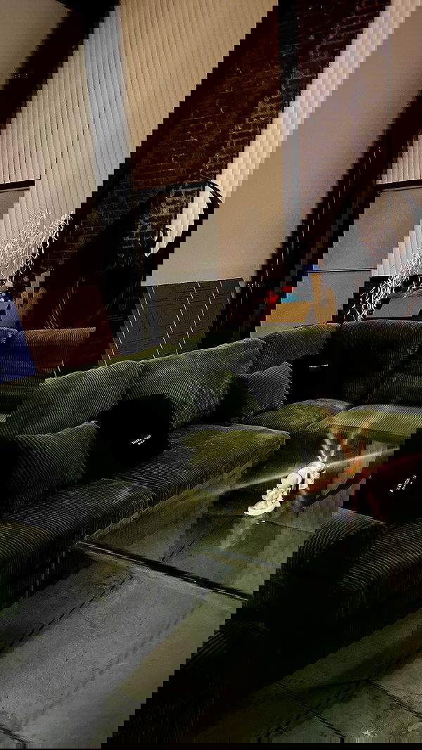 zommmbri image ~ Altpins