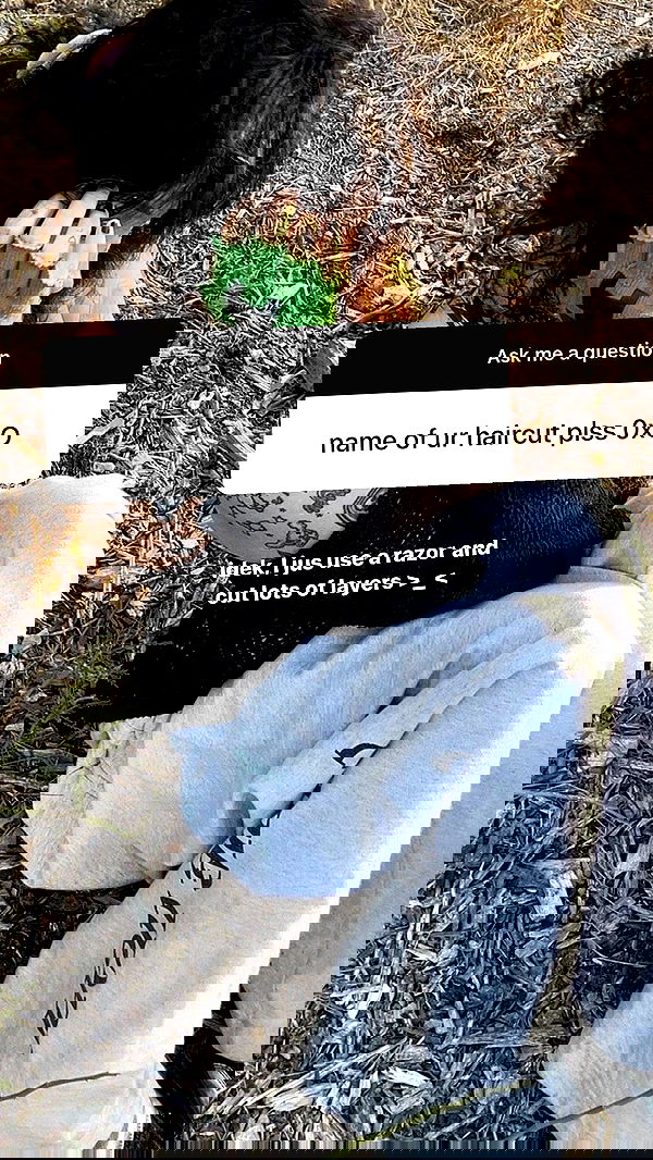 zommmbri image ~ Altpins