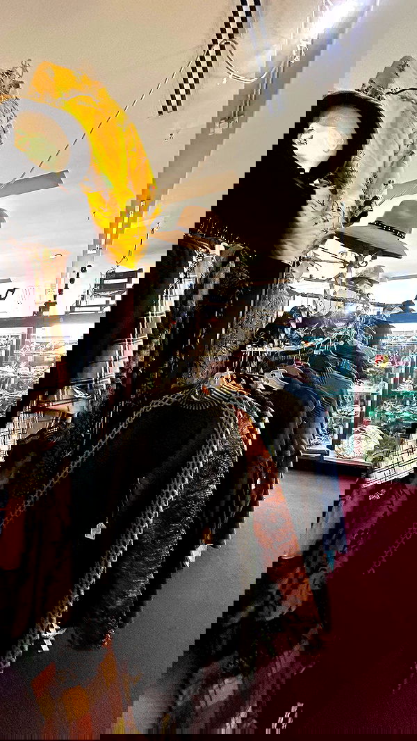 zommmbri image ~ Altpins