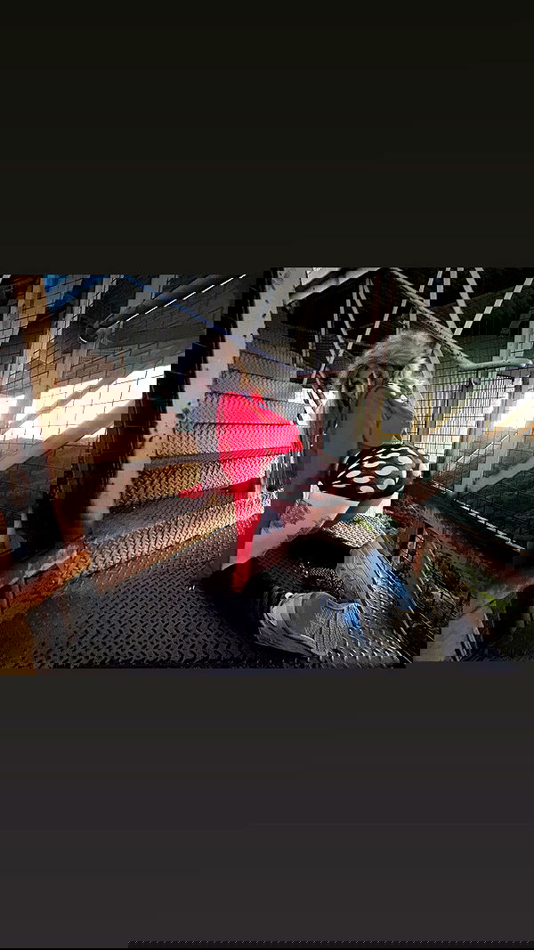 zommmbri image ~ Altpins