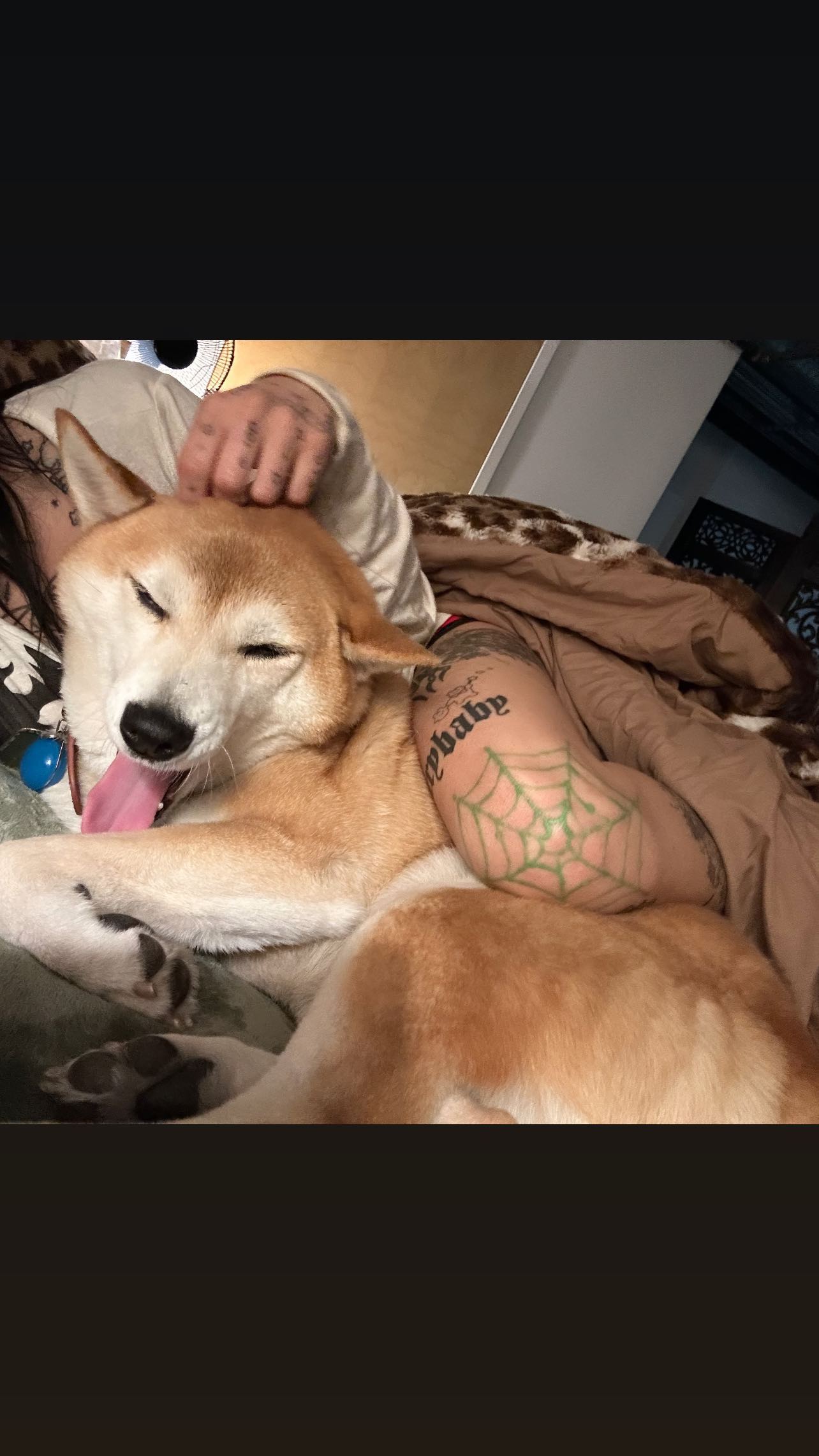 zommmbri instagram image archive image