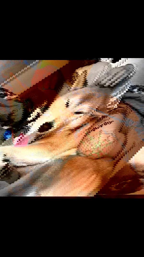 zommmbri image ~ Altpins