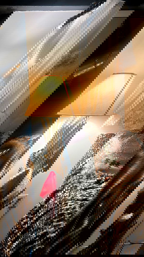 zommmbri image ~ Altpins