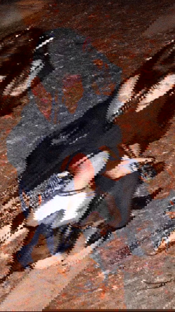 zommmbri image ~ Altpins