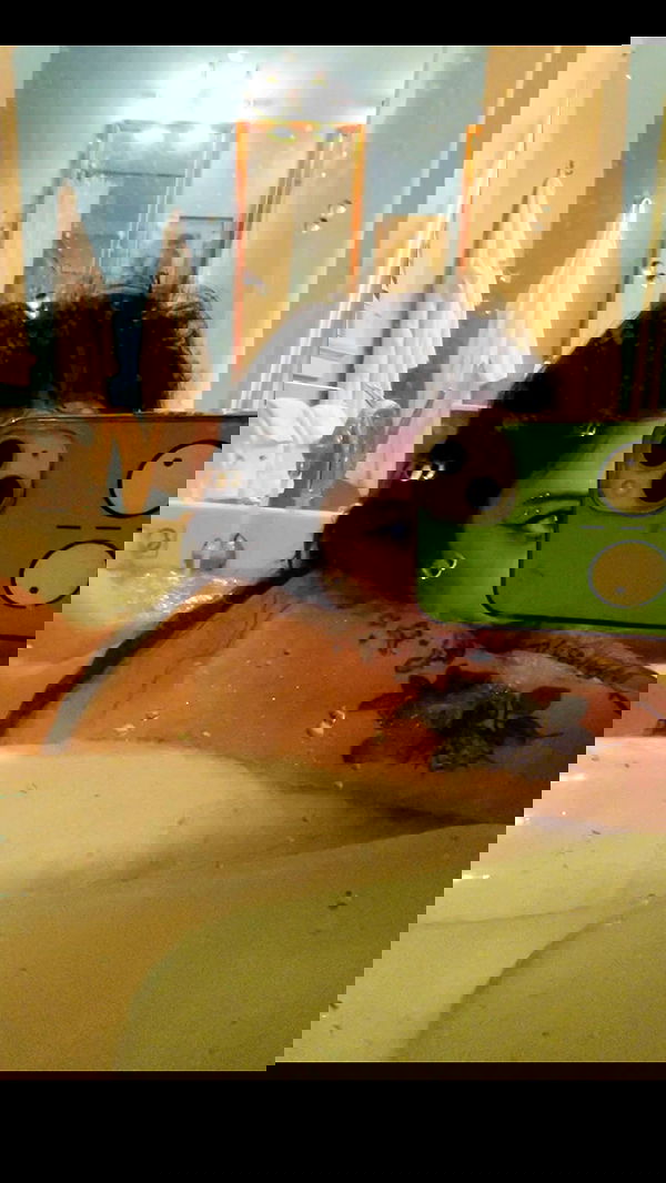 zommmbri image ~ Altpins