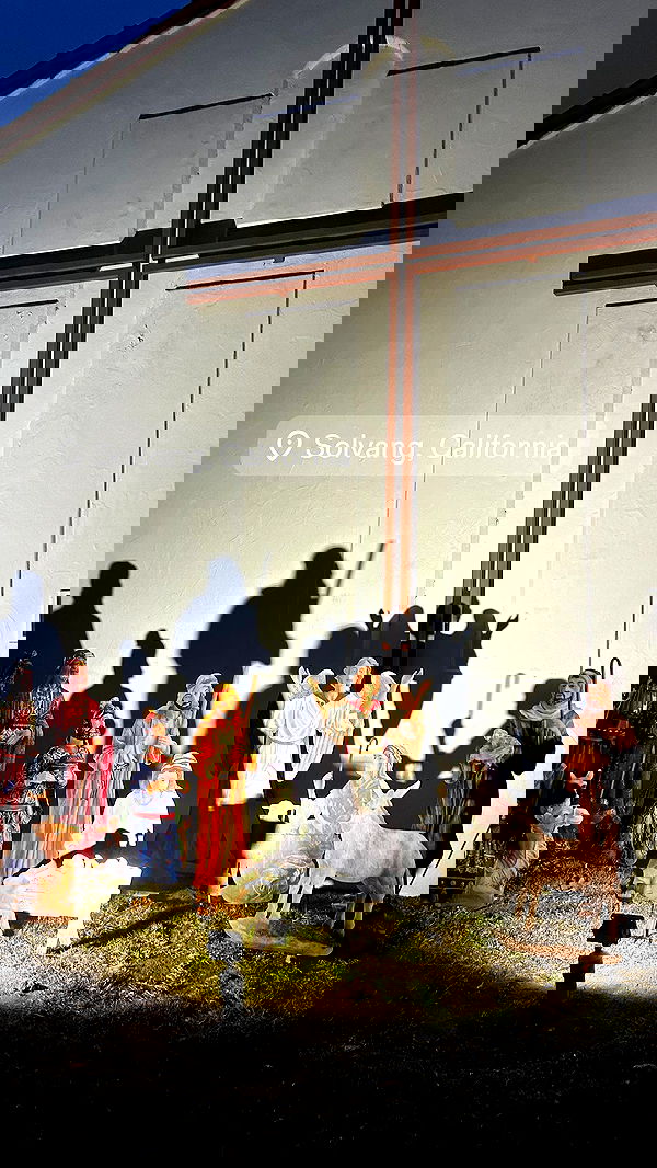 zommmbri image ~ Altpins