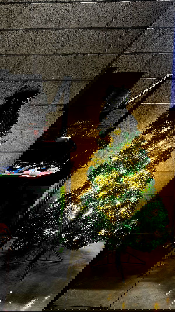 zommmbri image ~ Altpins