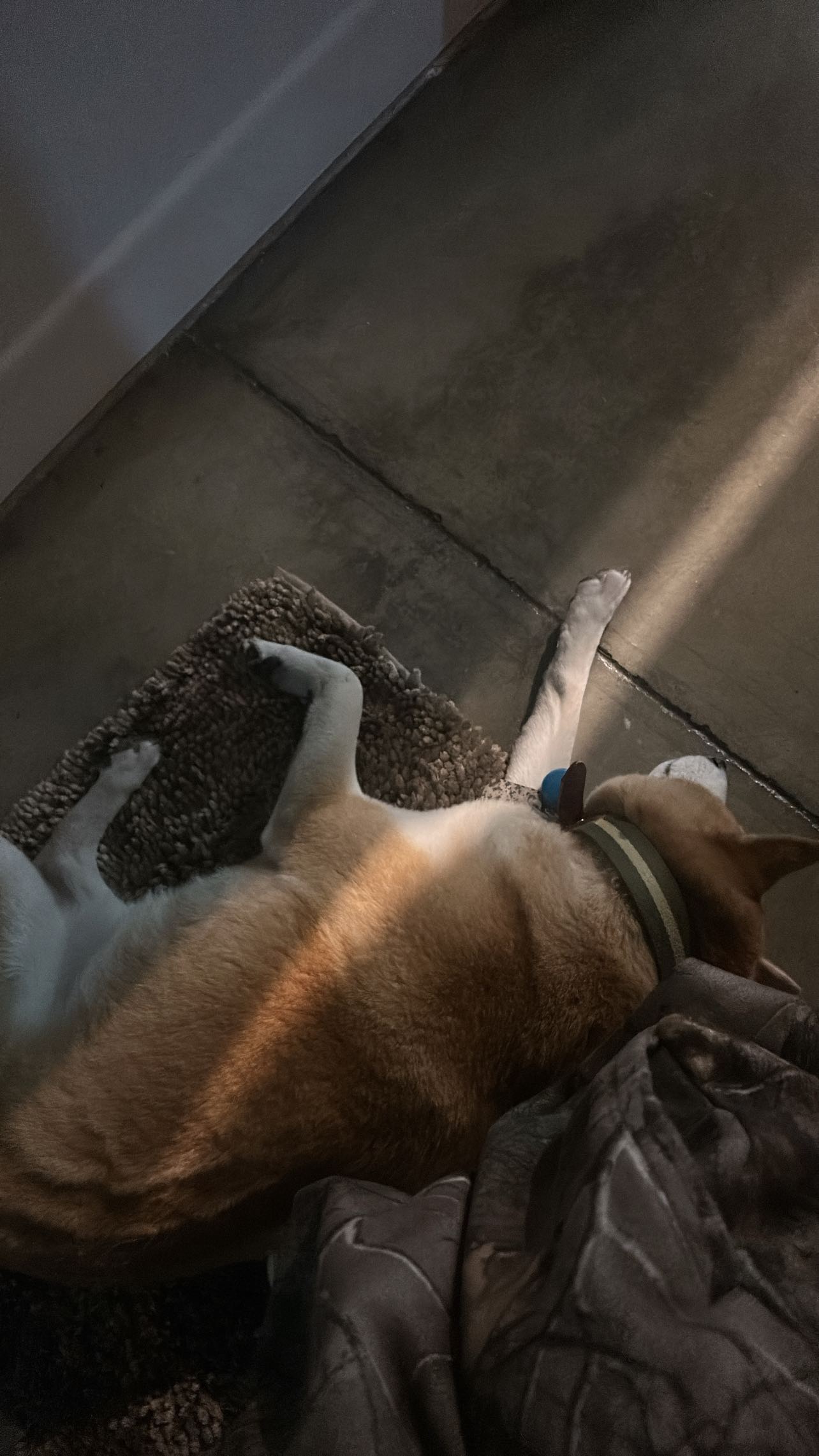 zommmbri instagram image archive image