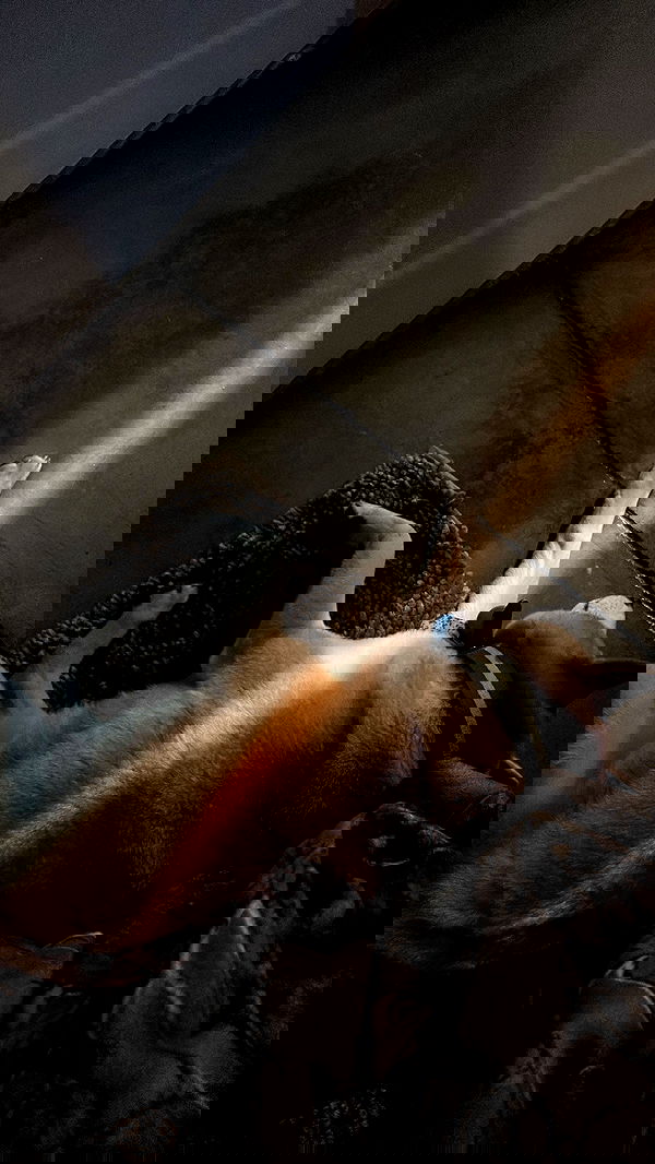 zommmbri image ~ Altpins