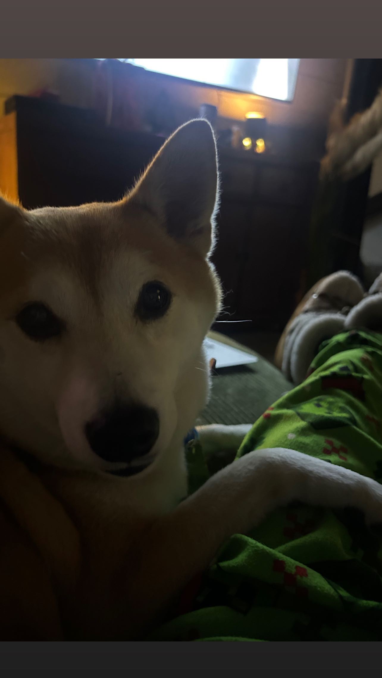 zommmbri instagram image archive image