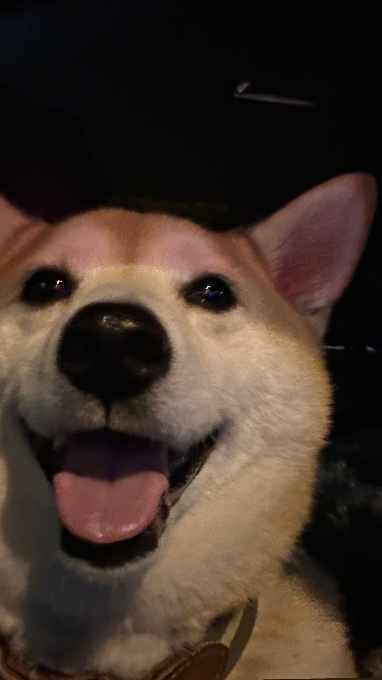 zommmbri instagram image archive image