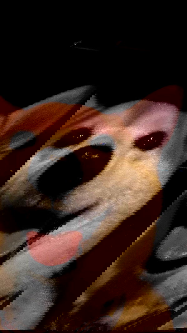 zommmbri image ~ Altpins