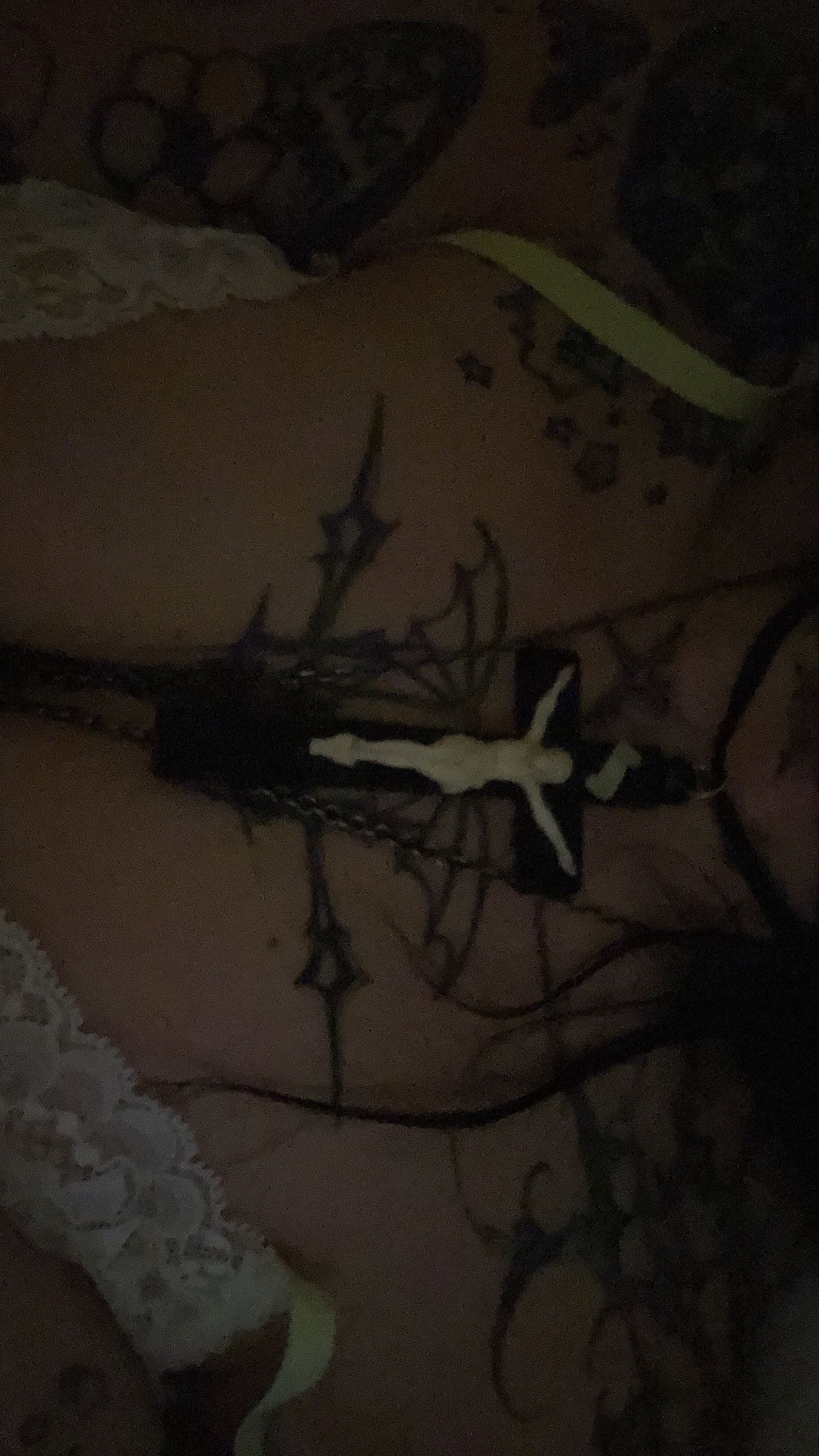 zommmbri instagram image archive image