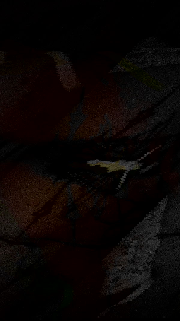 zommmbri image ~ Altpins