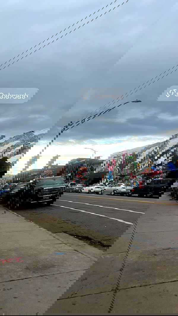 zommmbri image ~ Altpins