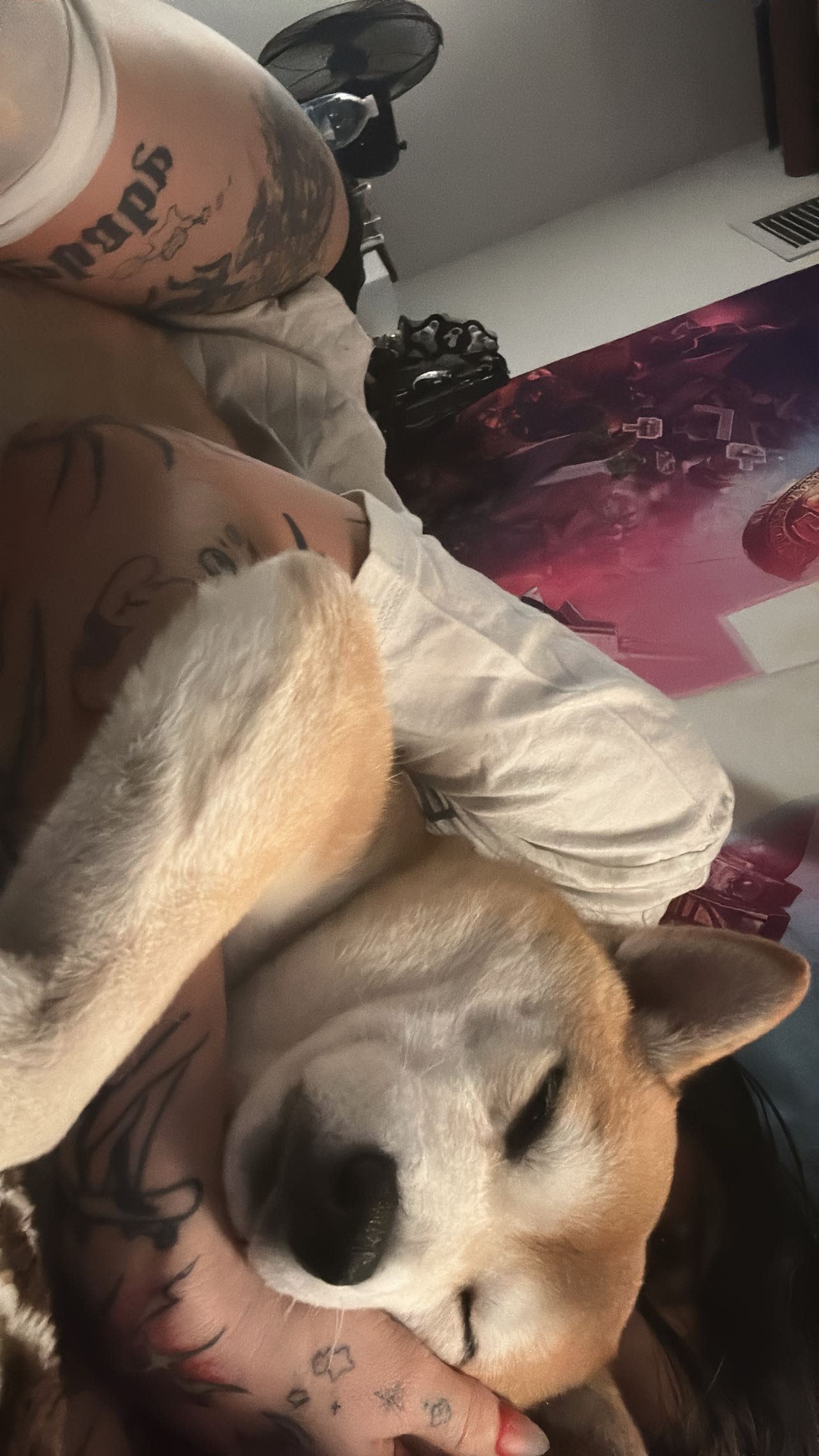 zommmbri instagram image archive image