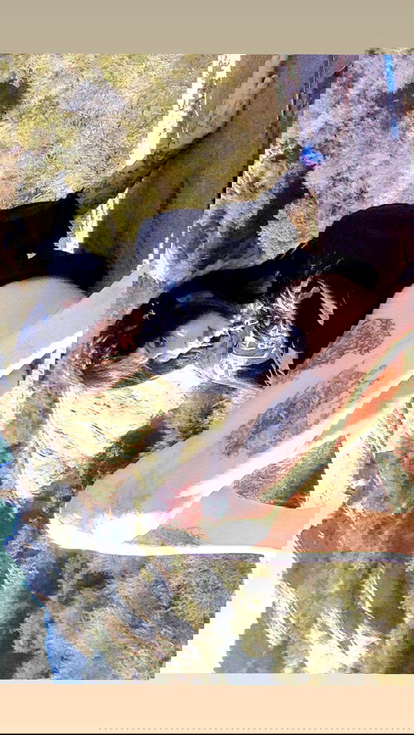 zommmbri image ~ Altpins