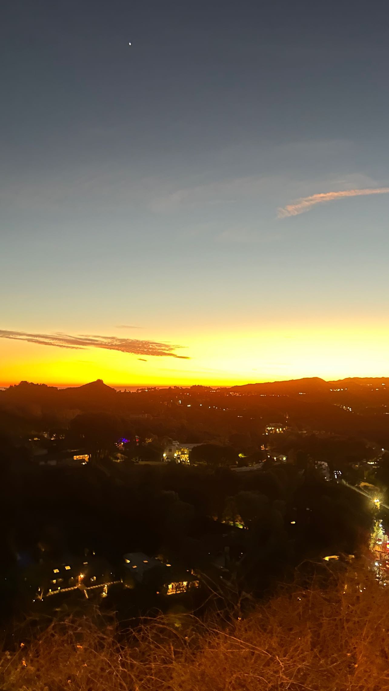 zommmbri instagram image archive image