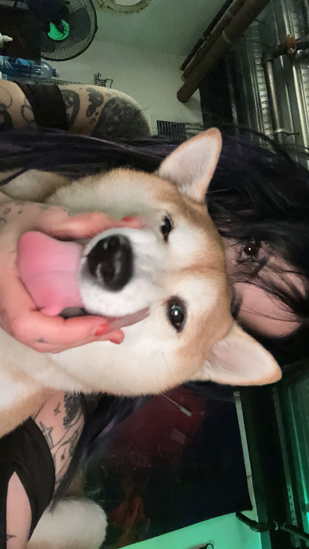 zommmbri instagram image archive image