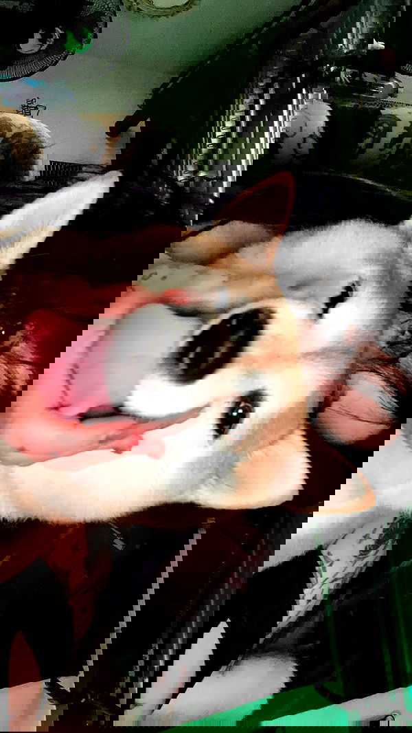 zommmbri image ~ Altpins