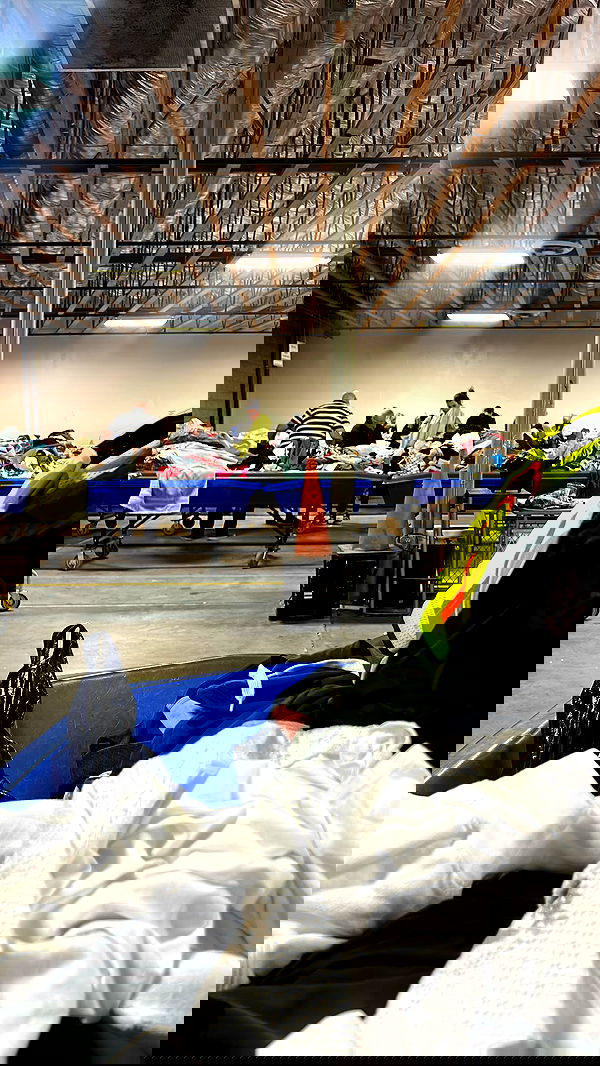 zommmbri image ~ Altpins