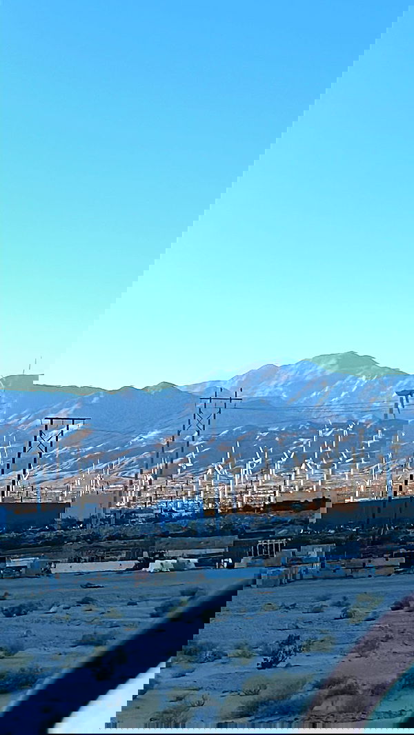 zommmbri image ~ Altpins